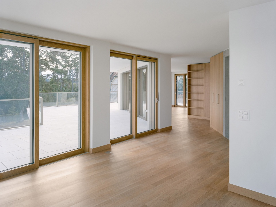 condominium apartments in nyon by lacroix chessex